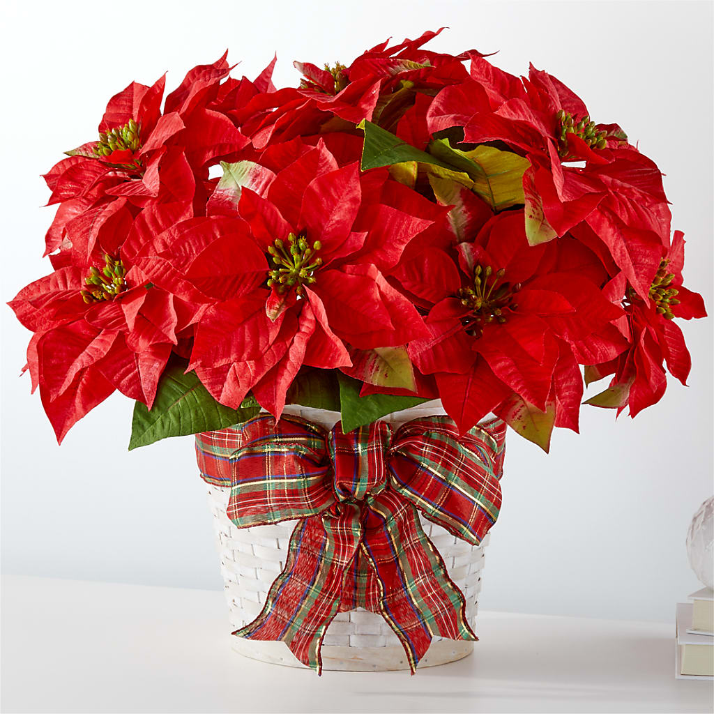 Happiest Holidays Poinsettia – Althoff Floral, Cannon Falls MN