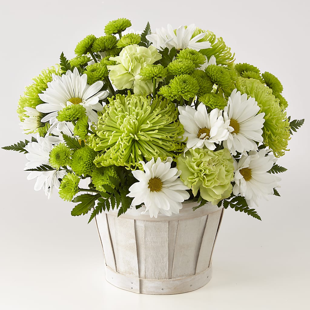 Lucky Charm Basket (Standard) – Althoff Floral, Cannon Falls MN