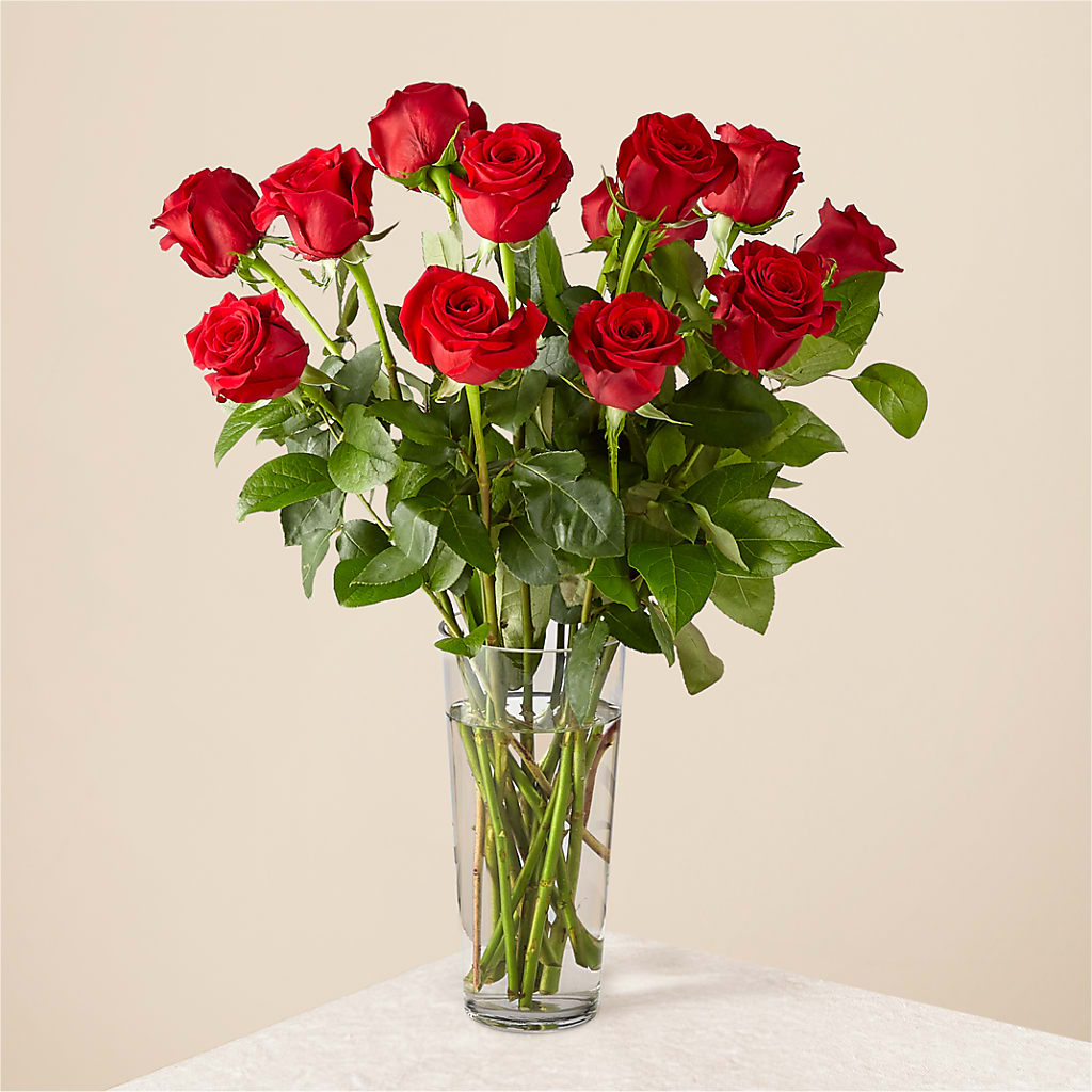 Long Stem Red Rose Bouquet – Althoff Floral, Cannon Falls MN