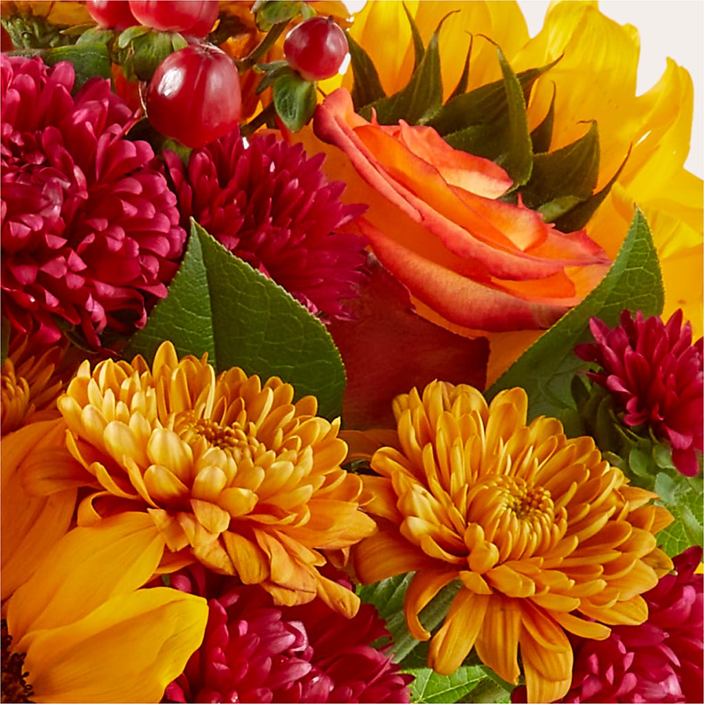 Sweater Season - A Florist Original – Althoff Floral, Cannon Falls MN