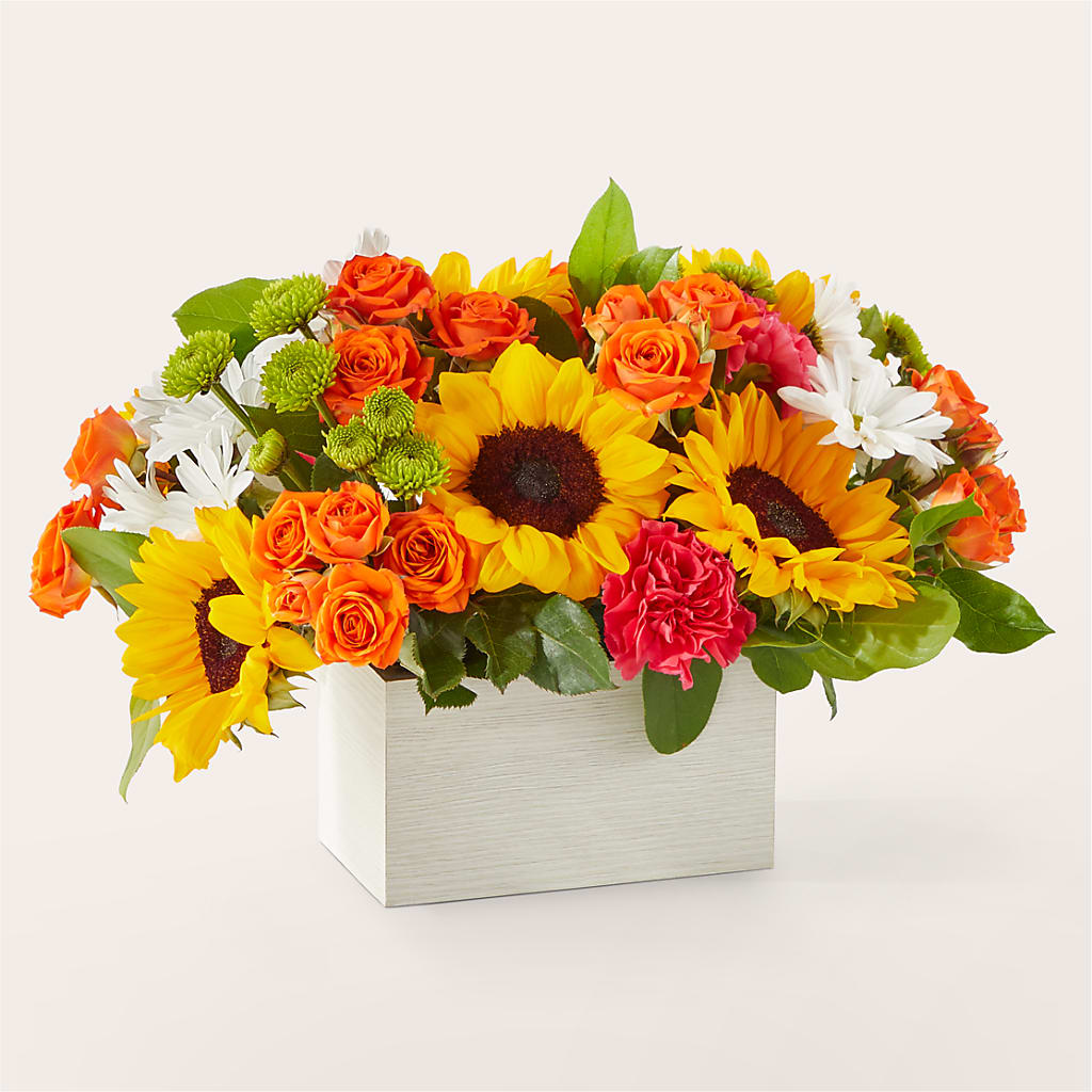 Sun-drenched Blooms Box Bouquet – Althoff Floral, Cannon Falls MN