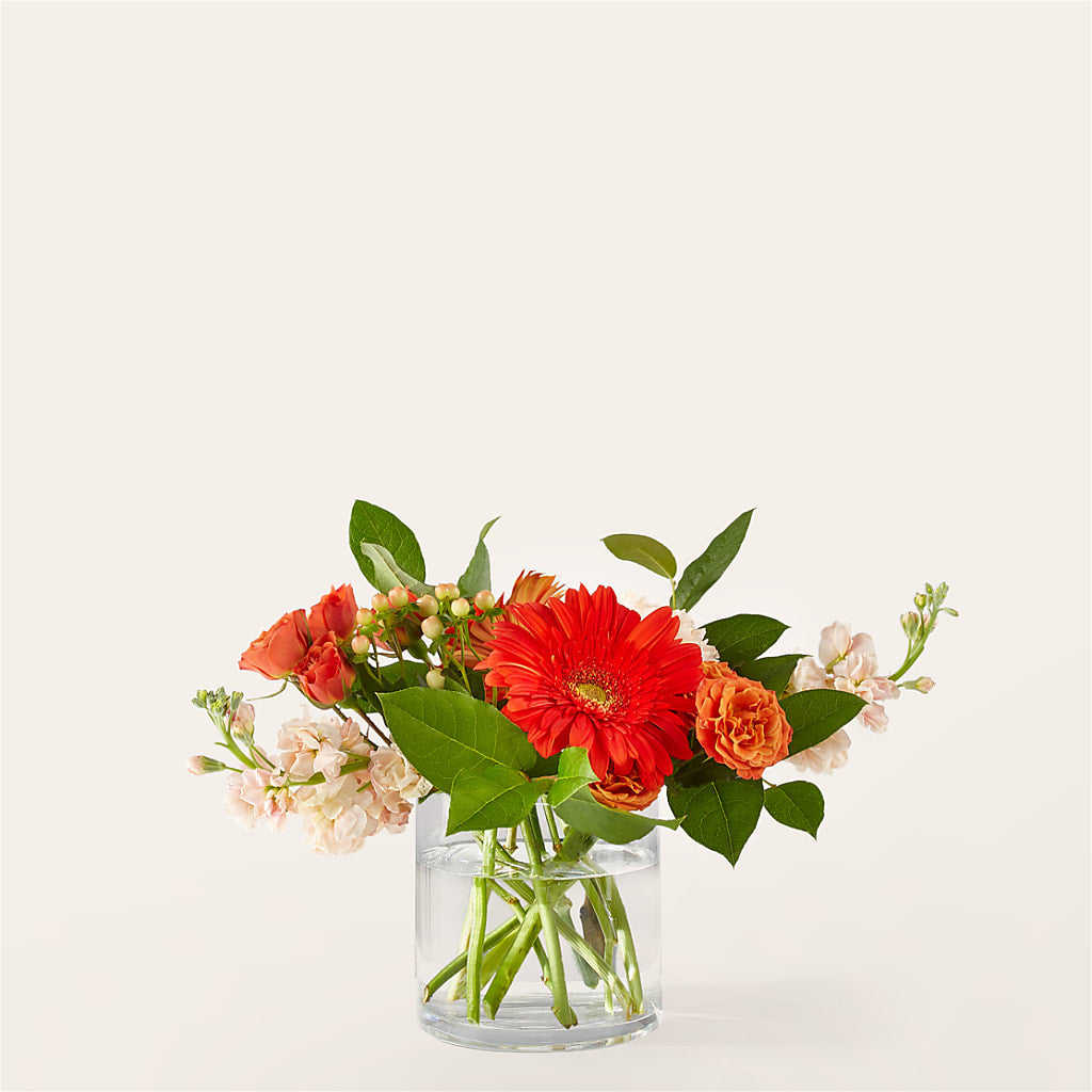 Paloma Please Bouquet – Althoff Floral, Cannon Falls MN