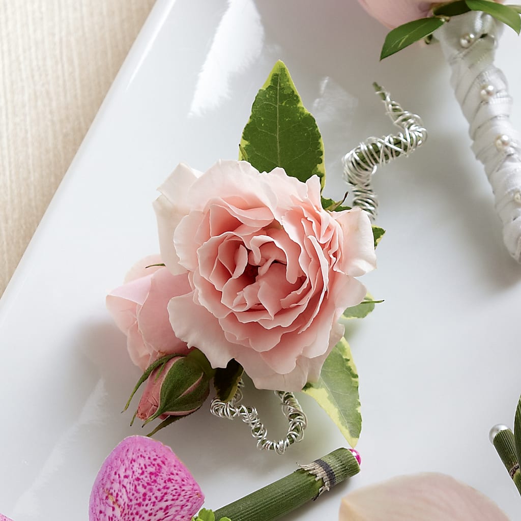 Pink Spray Rose Boutonniere – Althoff Floral, Cannon Falls MN