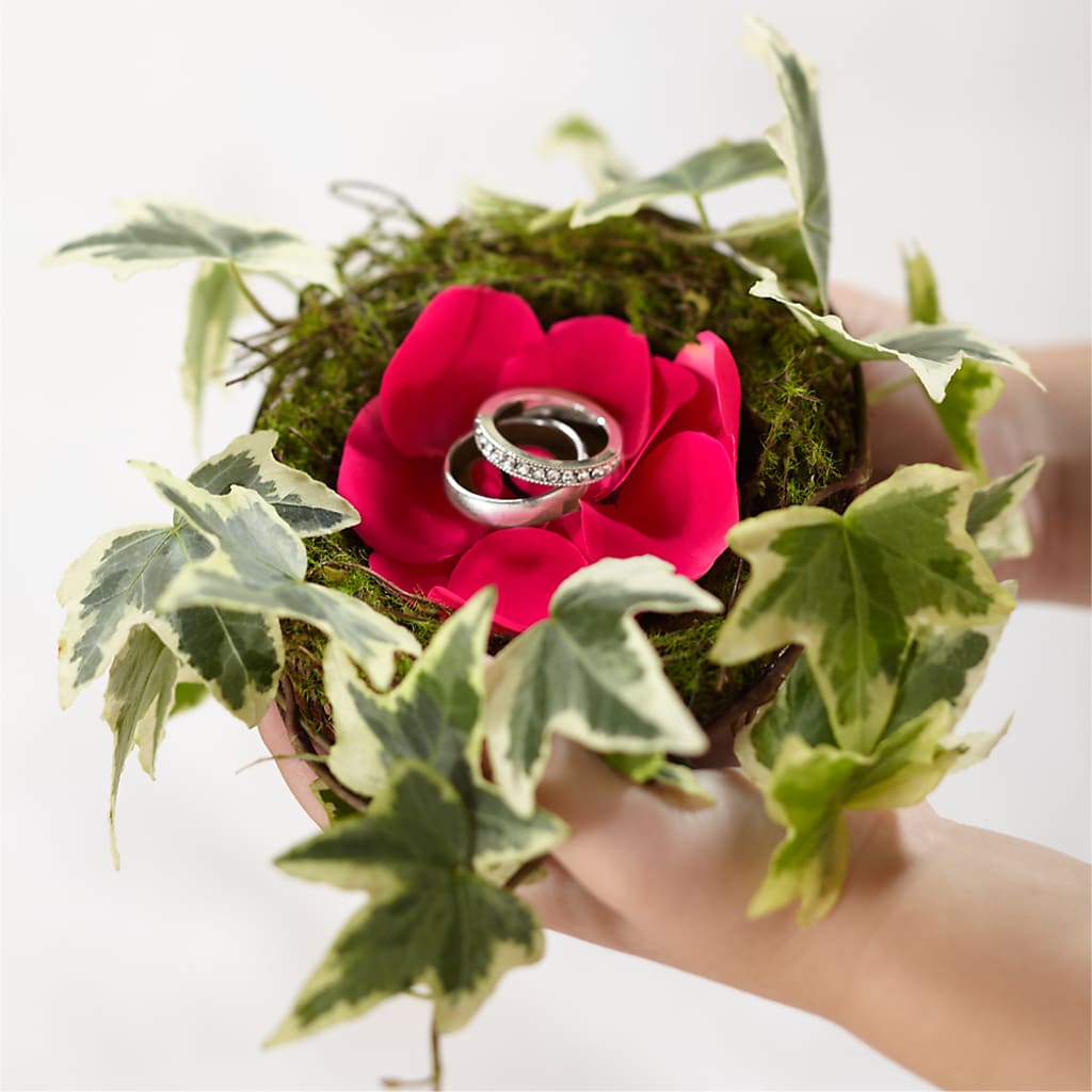 Lila Rose Ring Nest – Althoff Floral, Cannon Falls MN