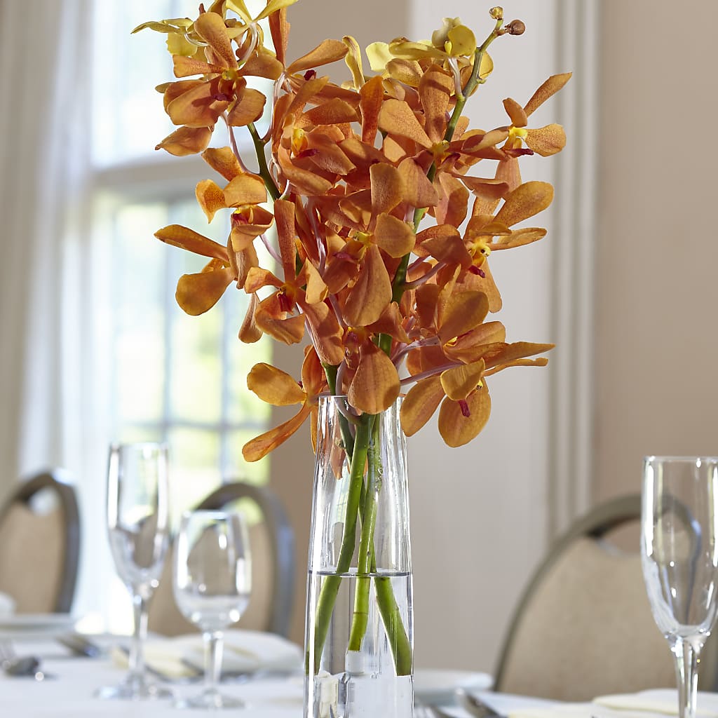 Orange Mokara Bud Vase – Althoff Floral, Cannon Falls MN