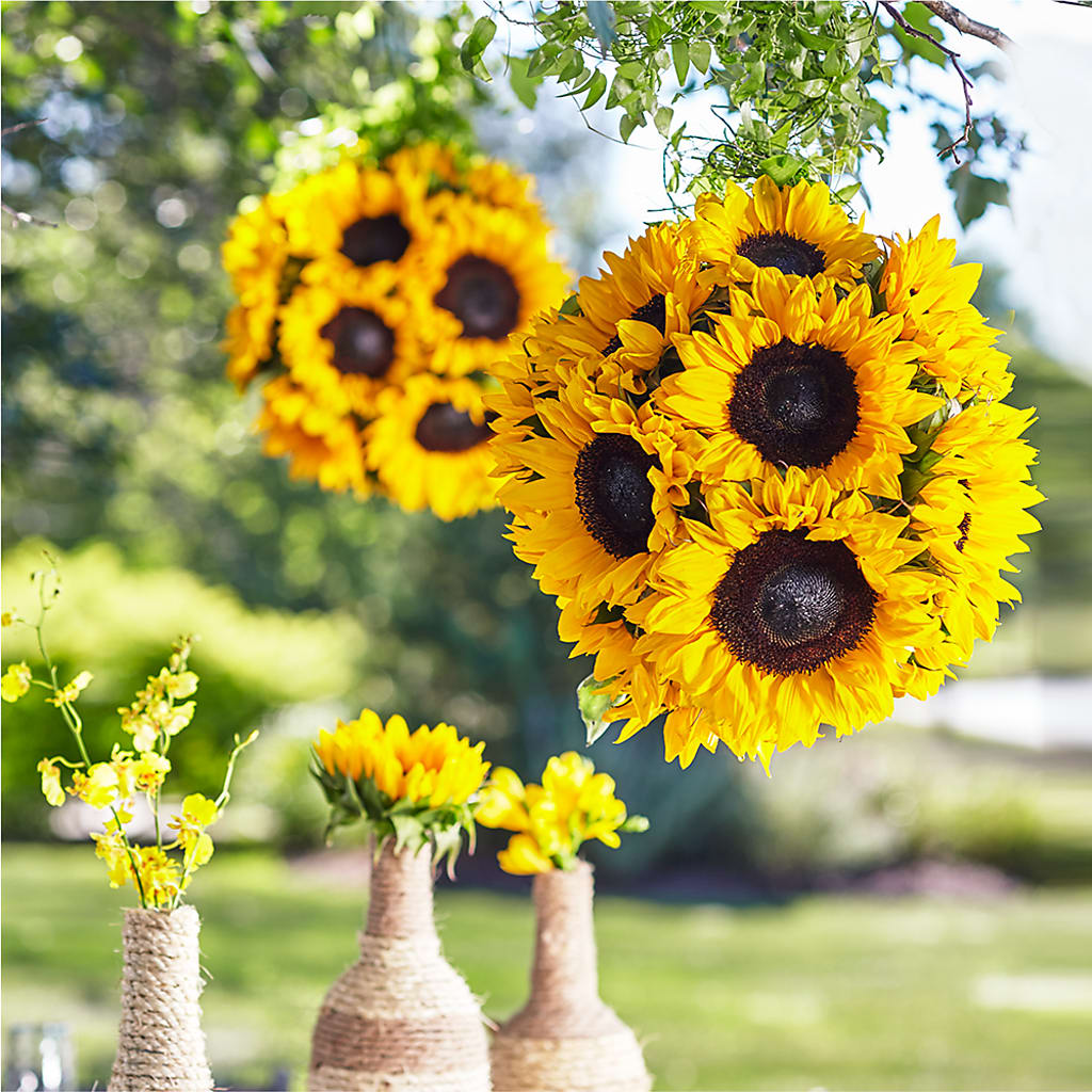 Sublime Garden Hanging Arrangement – Althoff Floral, Cannon Falls MN