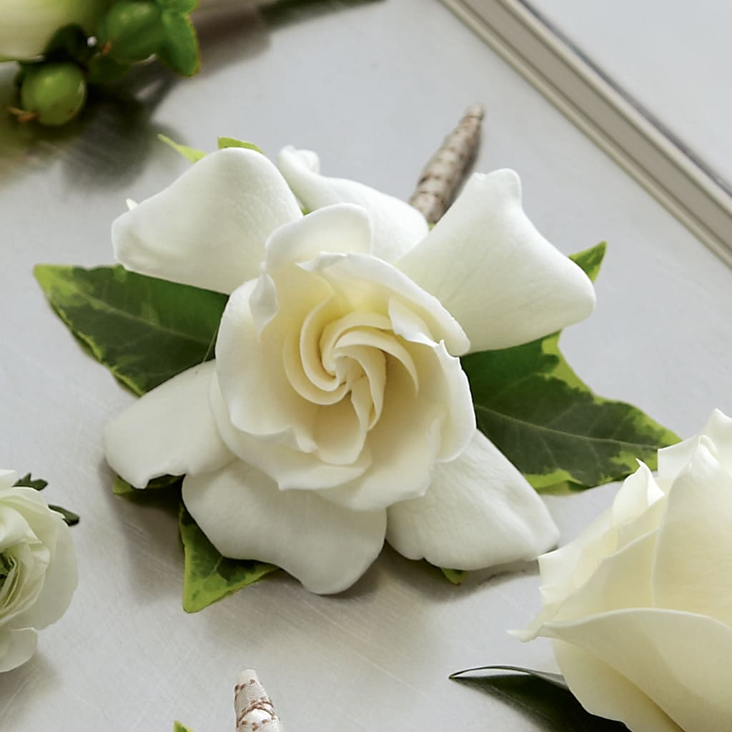 Gardenia Boutonniere – Althoff Floral, Cannon Falls MN