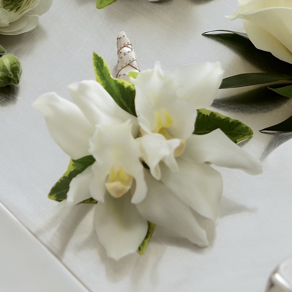 White Mini Cymbidium Boutonniere – Althoff Floral, Cannon Falls MN