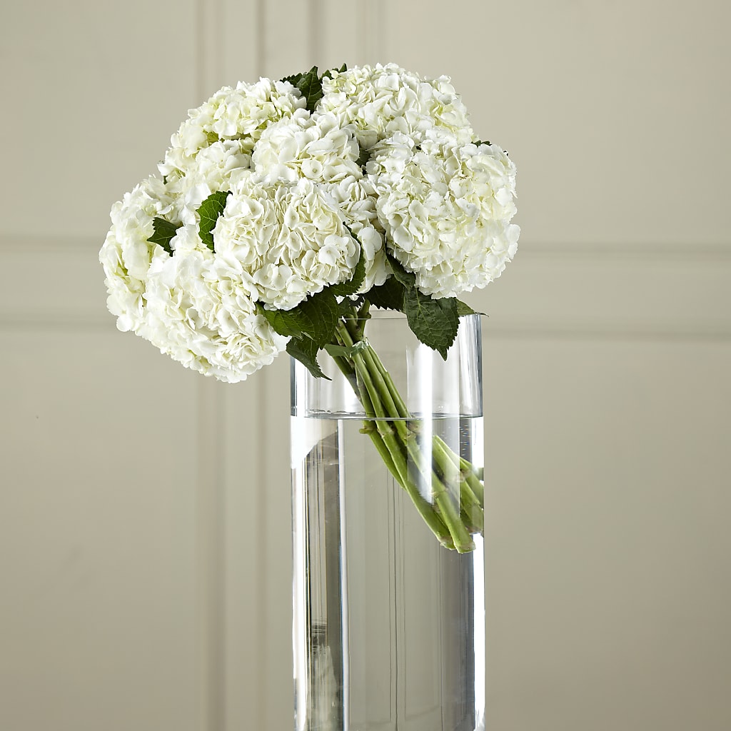 White Hydrangea Hand-Tied Bouquet – Althoff Floral, Cannon Falls MN