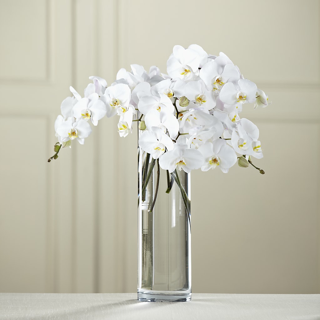 White Phalaenopsis Bouquet – Althoff Floral, Cannon Falls MN