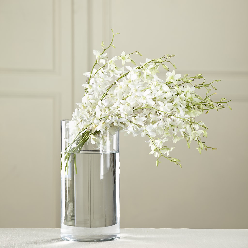 White Dendrobium Bouquet – Althoff Floral, Cannon Falls MN
