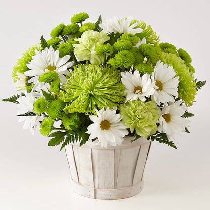 Lucky Charm Basket (Standard) –  Althoff Floral, Cannon Falls MN