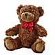 Adorable Plush Bear –  Althoff Floral, Cannon Falls MN
