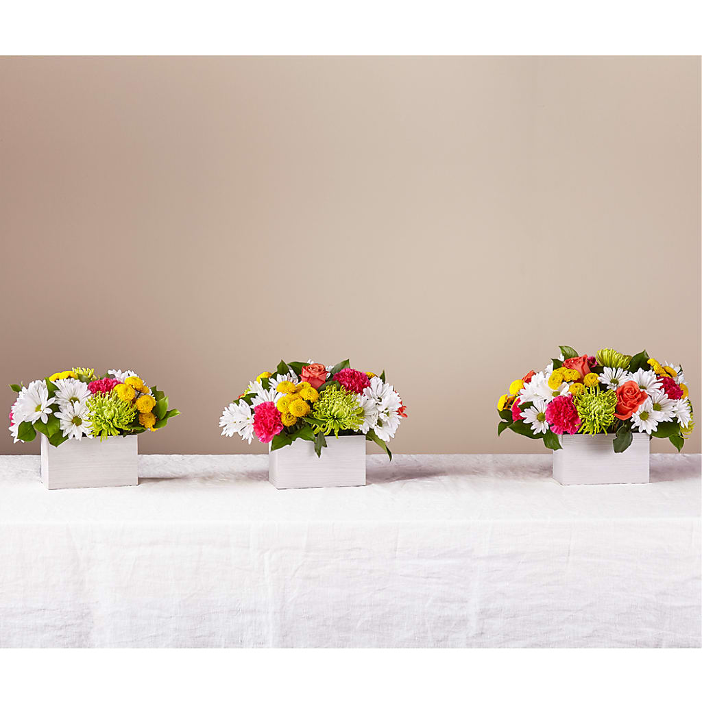 Sorbet Bouquet –  Althoff Floral, Cannon Falls MN