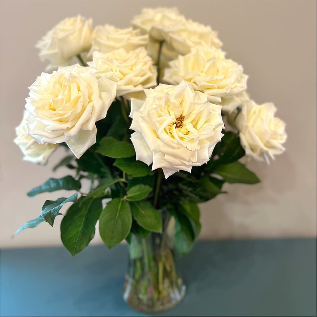 Long Stem Yellow Rose Bouquet –  Althoff Floral, Cannon Falls MN