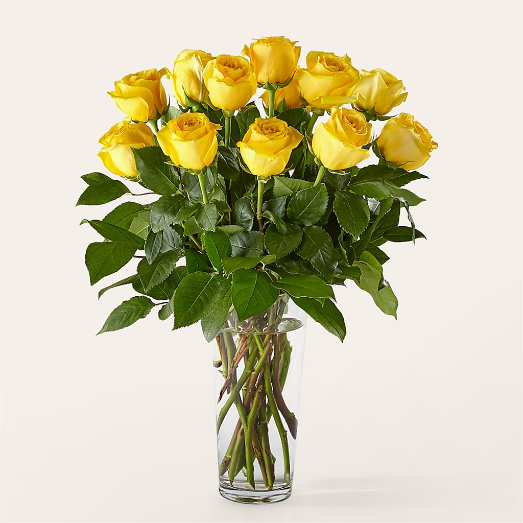 Long Stem Yellow Rose Bouquet –  Althoff Floral, Cannon Falls MN