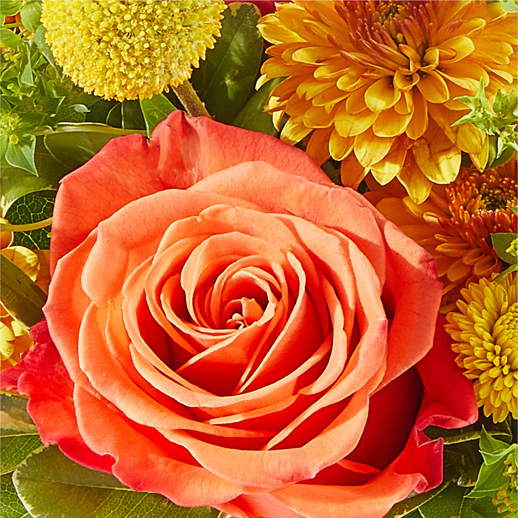 Gourdgeous Pumpkin –  Althoff Floral, Cannon Falls MN