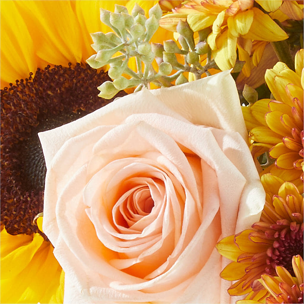 Pumpkin to Talk About Bouquet –  Althoff Floral, Cannon Falls MN
