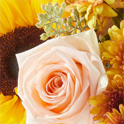 Pumpkin to Talk About Bouquet –  Althoff Floral, Cannon Falls MN