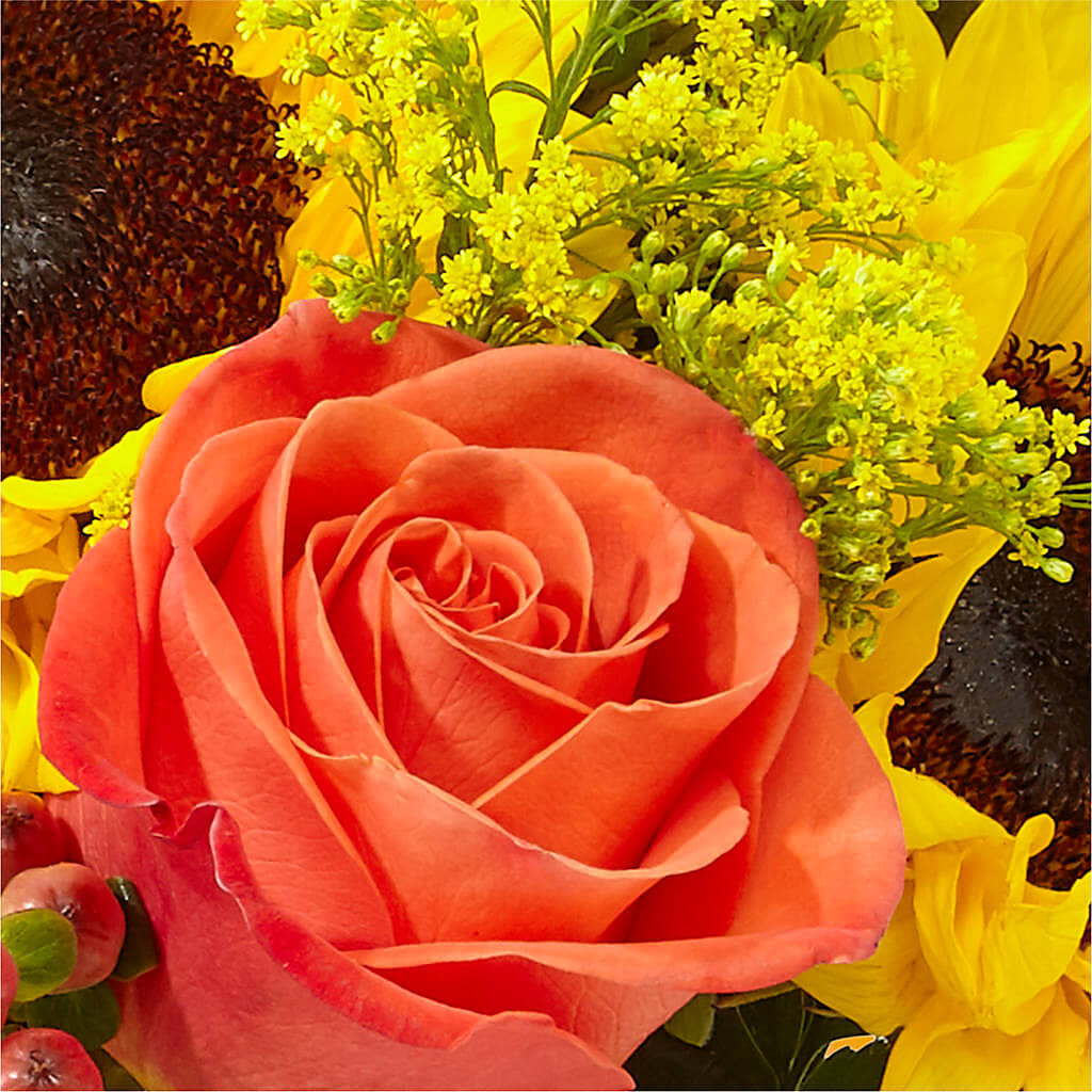 Pick of the Patch Pumpkin Bouquet –  Althoff Floral, Cannon Falls MN