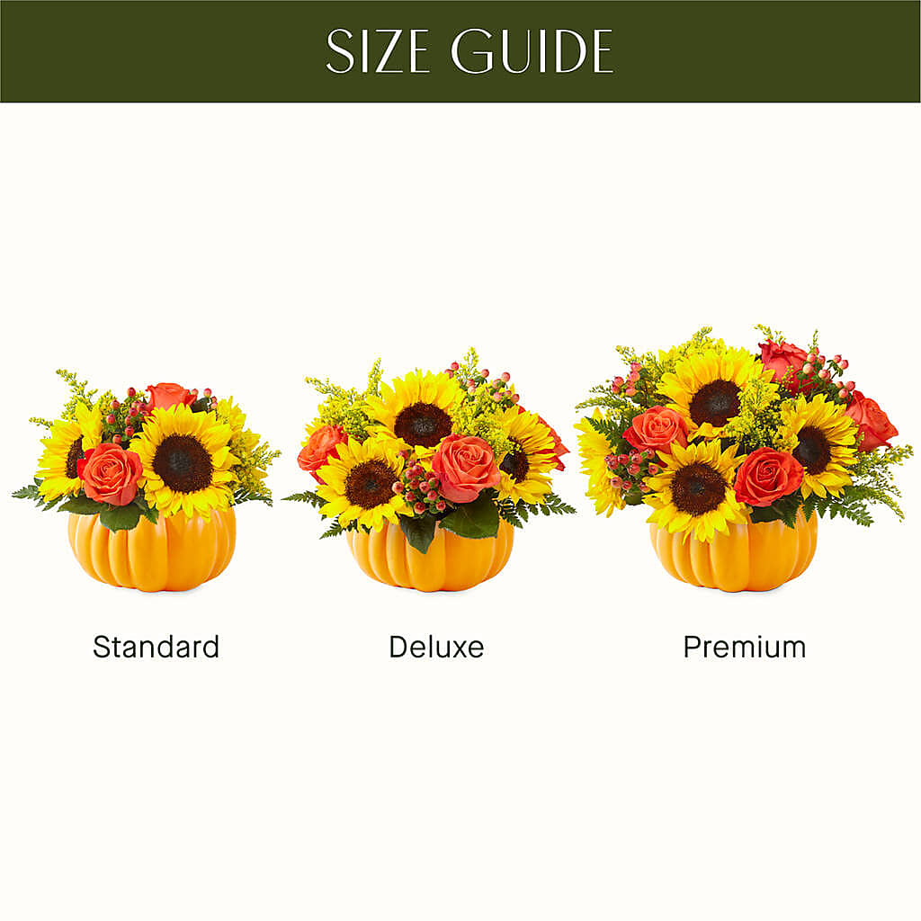 Pick of the Patch Pumpkin Bouquet –  Althoff Floral, Cannon Falls MN