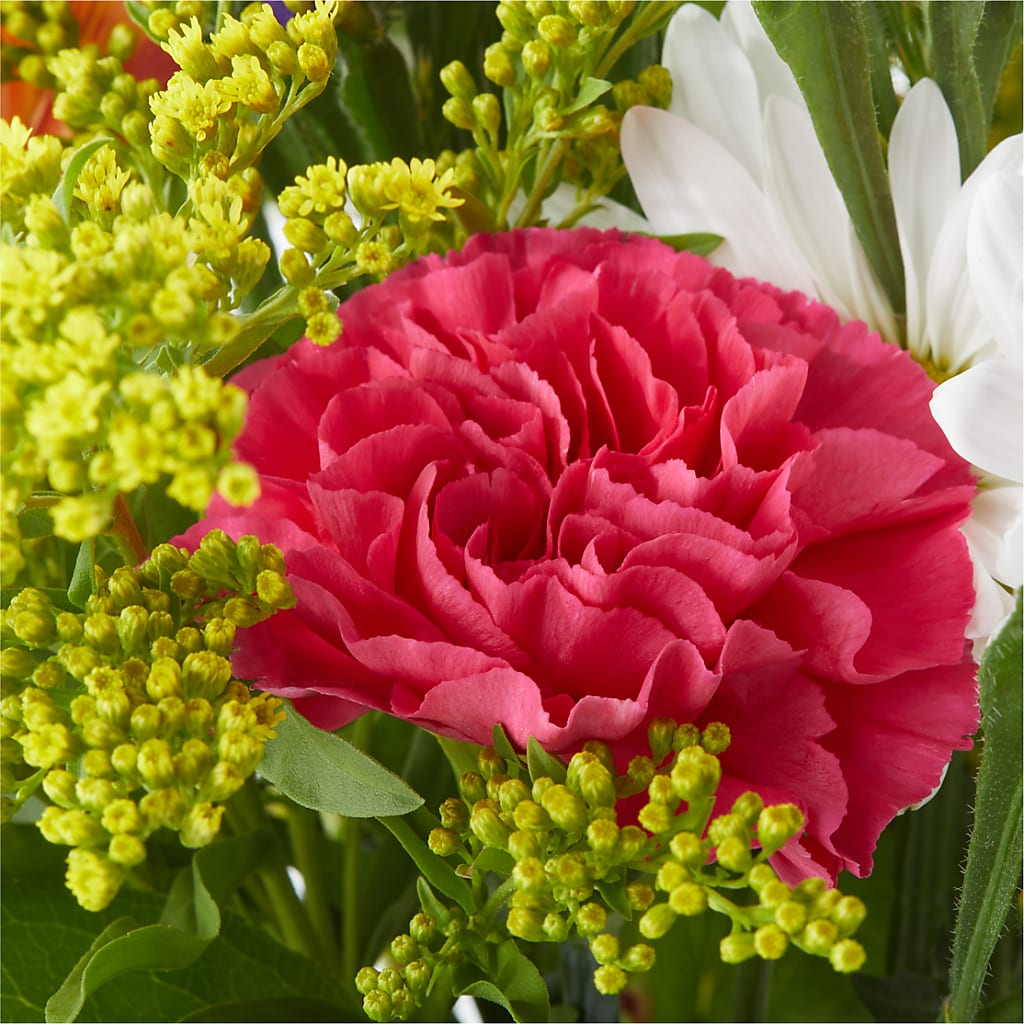 Oopsie Daisy Bouquet –  Althoff Floral, Cannon Falls MN