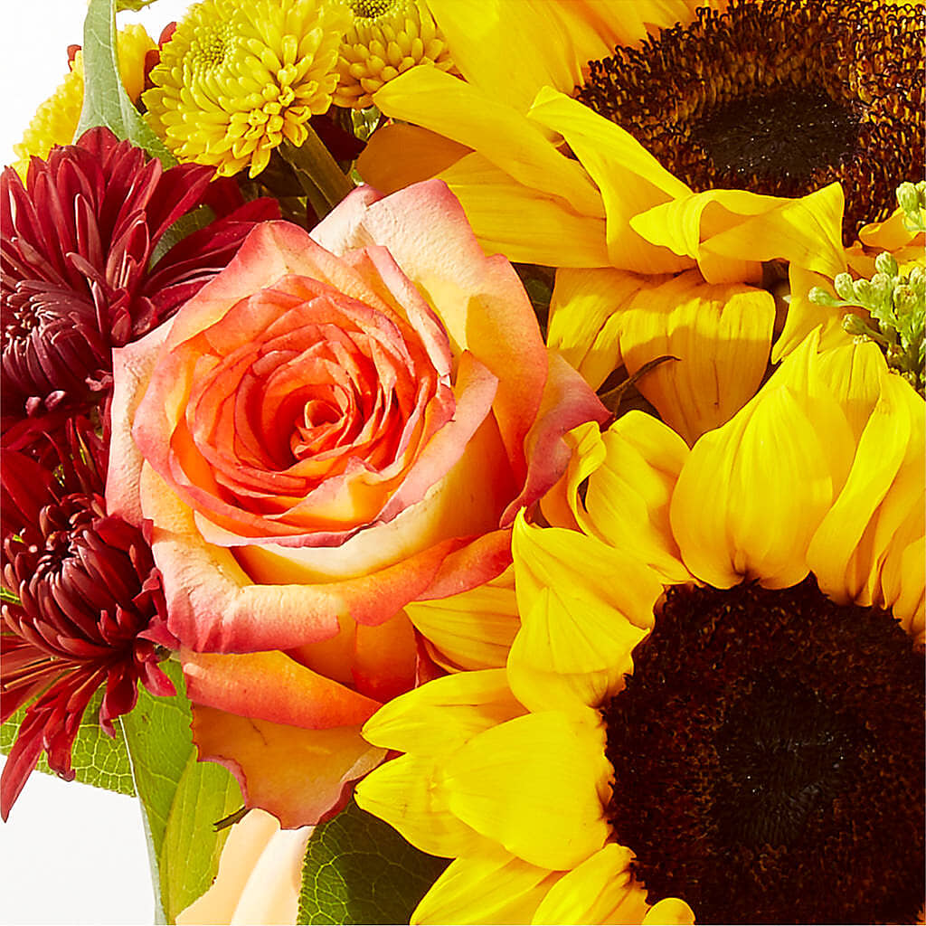 Golden Gourd Pumpkin Bouquet –  Althoff Floral, Cannon Falls MN