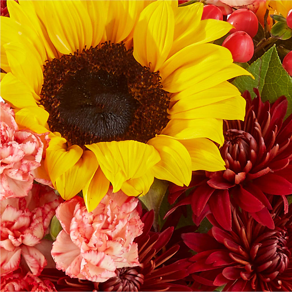 Fresh Cider Bouquet –  Althoff Floral, Cannon Falls MN