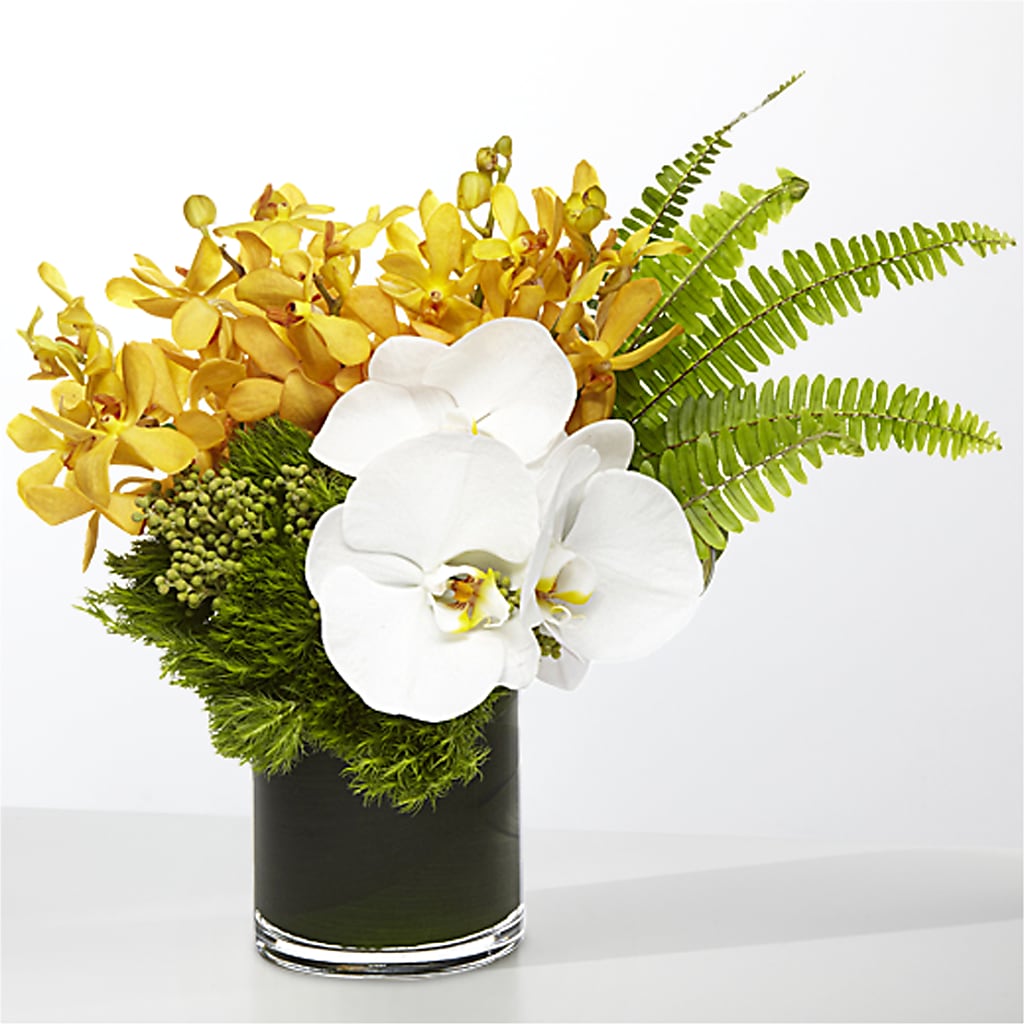 The Tropics –  Althoff Floral, Cannon Falls MN