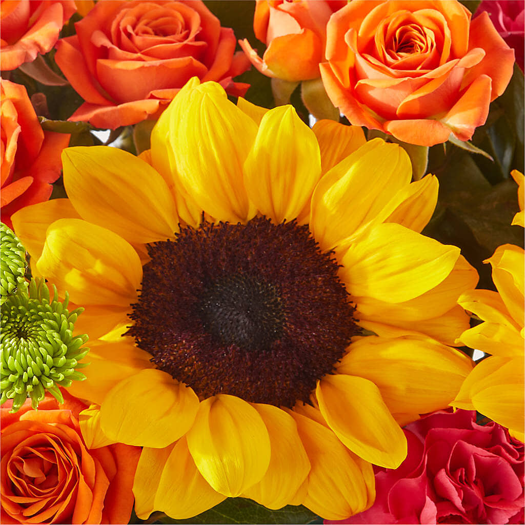 Sun-drenched Blooms Box Bouquet –  Althoff Floral, Cannon Falls MN