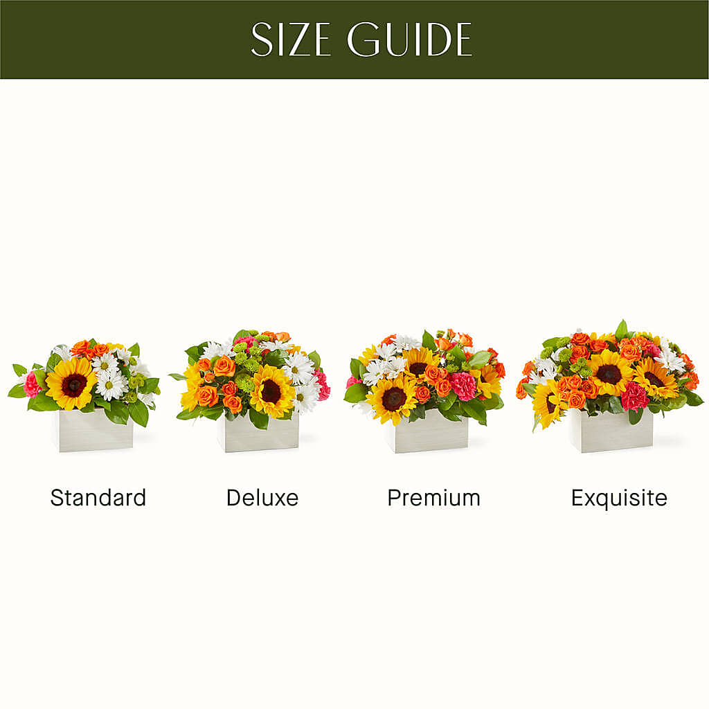 Sun-drenched Blooms Box Bouquet –  Althoff Floral, Cannon Falls MN