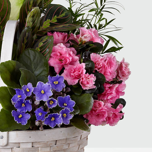 Peaceful Garden Planter –  Althoff Floral, Cannon Falls MN