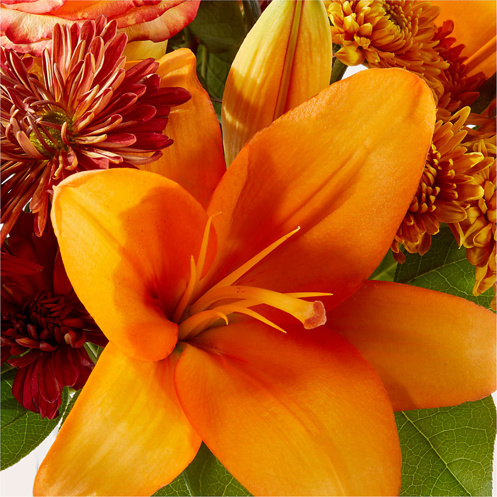 Autumnal Aroma Bouquet –  Althoff Floral, Cannon Falls MN