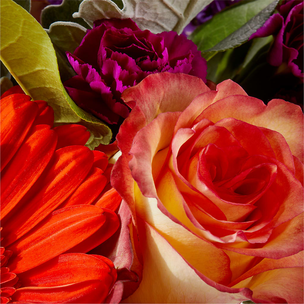 Sangria Bouquet –  Althoff Floral, Cannon Falls MN