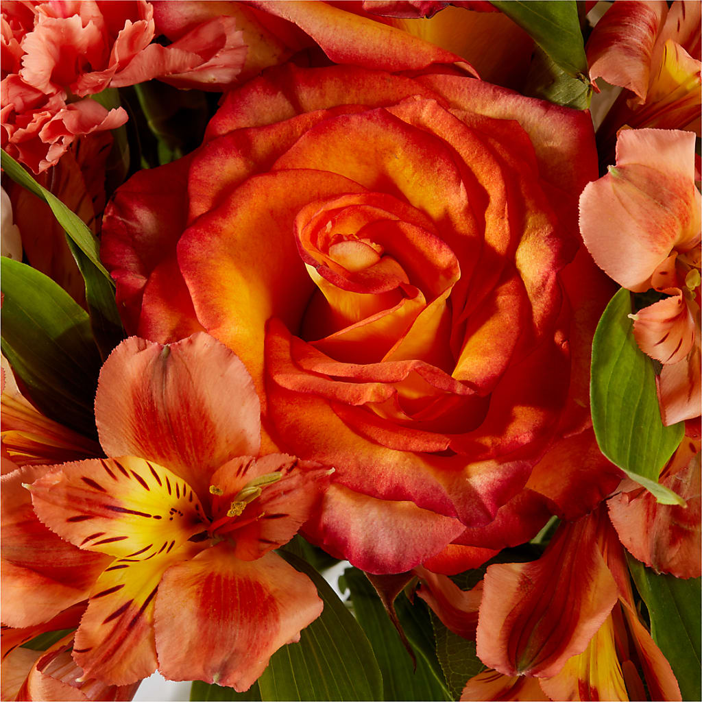 Apricot Glow Bouquet –  Althoff Floral, Cannon Falls MN
