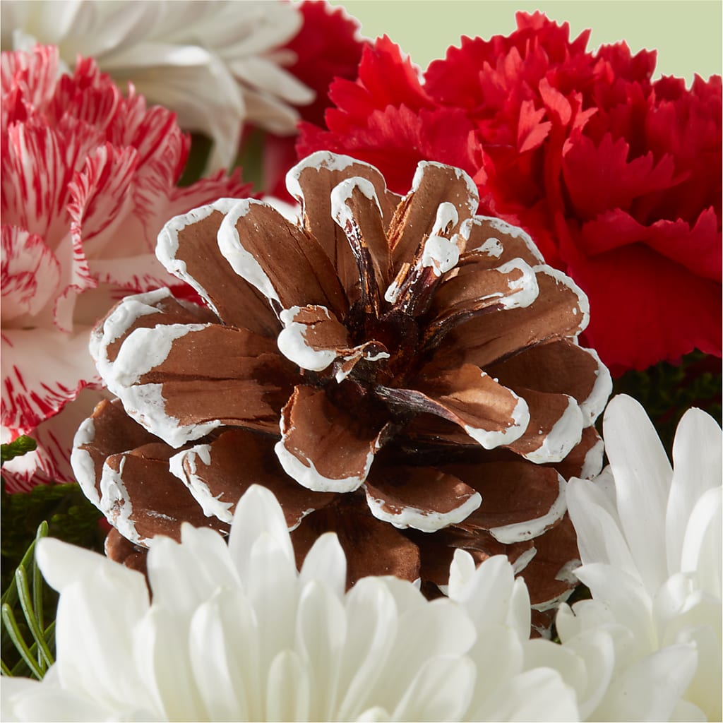Candy Cane Lane Bouquet –  Althoff Floral, Cannon Falls MN