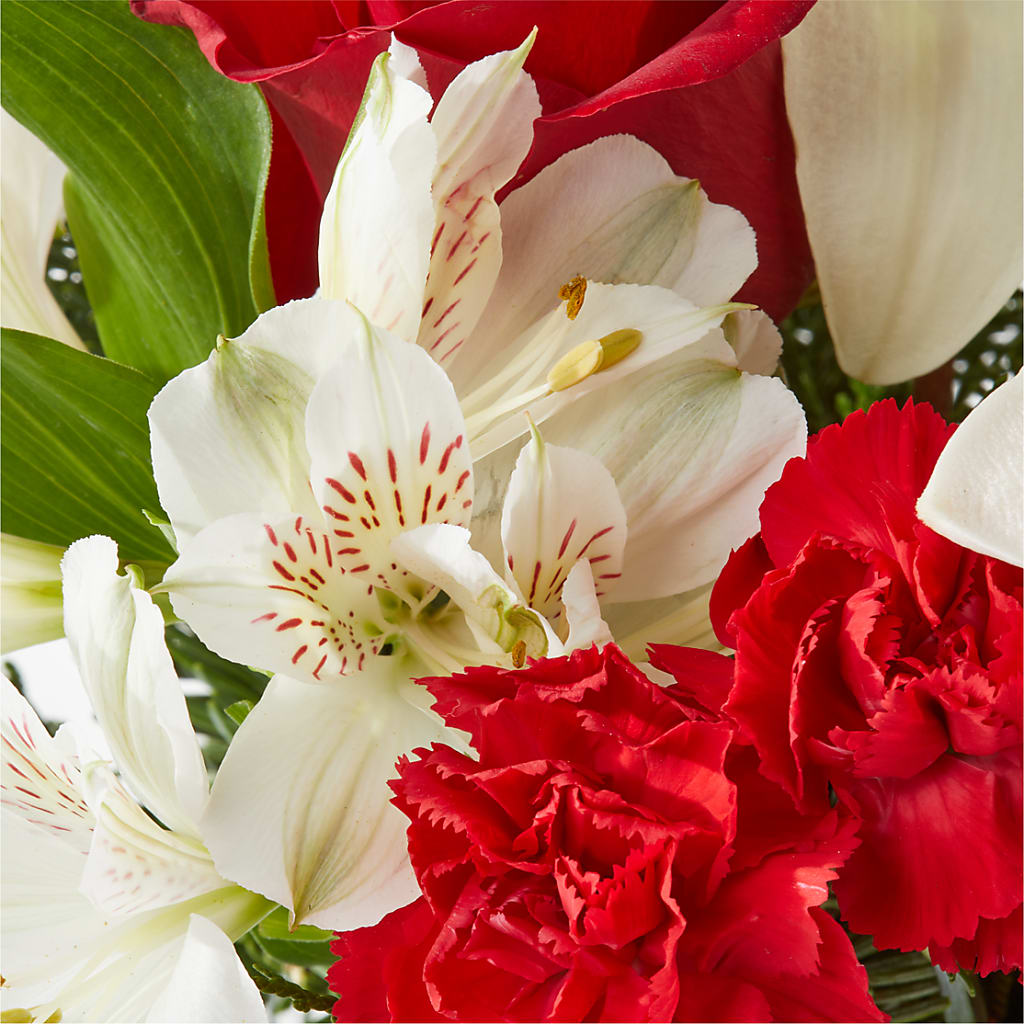 Holiday Season Bouquet –  Althoff Floral, Cannon Falls MN