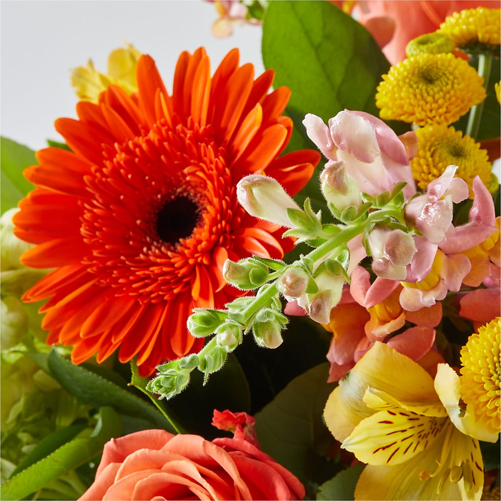 Autumn Sunshine Bouquet –  Althoff Floral, Cannon Falls MN