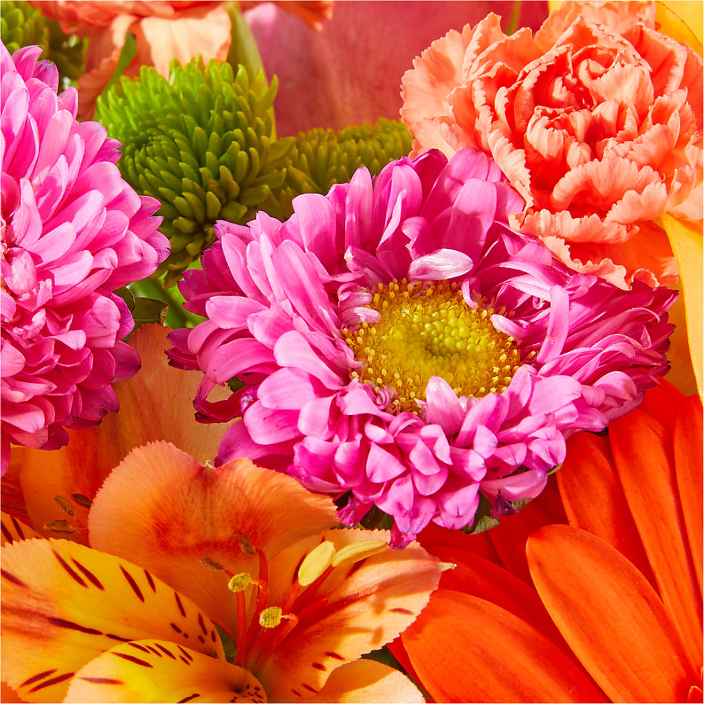 Soiree Bouquet –  Althoff Floral, Cannon Falls MN