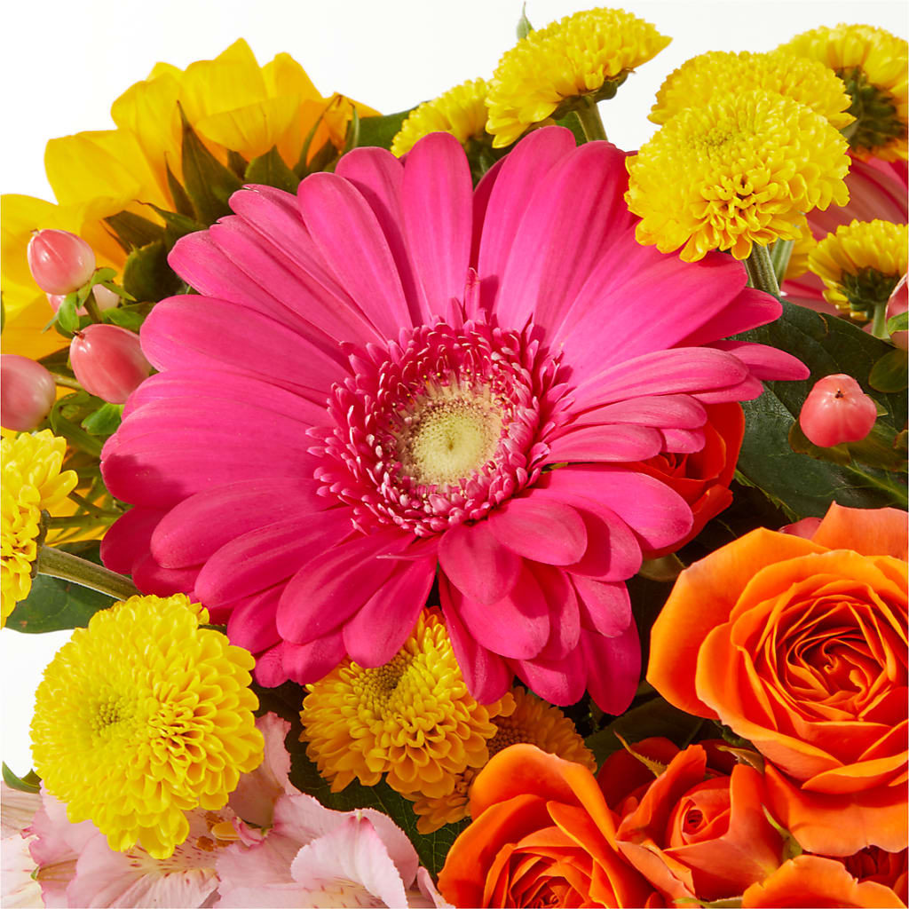 Beach Day Bouquet –  Althoff Floral, Cannon Falls MN