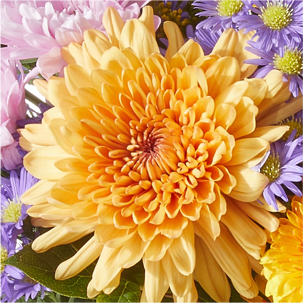Countryside Bouquet –  Althoff Floral, Cannon Falls MN