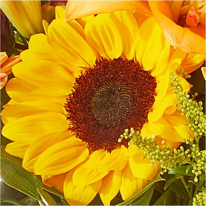 Seasons Change Bouquet –  Althoff Floral, Cannon Falls MN