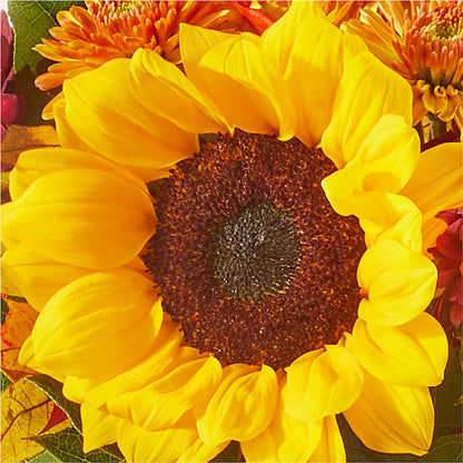 Sunny Side Bouquet –  Althoff Floral, Cannon Falls MN