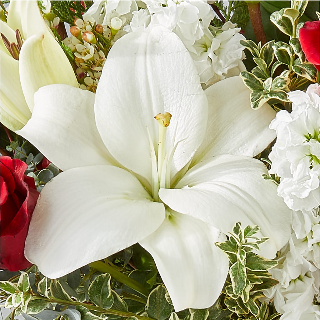 Twinkle Lights Bouquet –  Althoff Floral, Cannon Falls MN