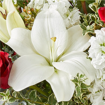 Twinkle Lights Bouquet –  Althoff Floral, Cannon Falls MN