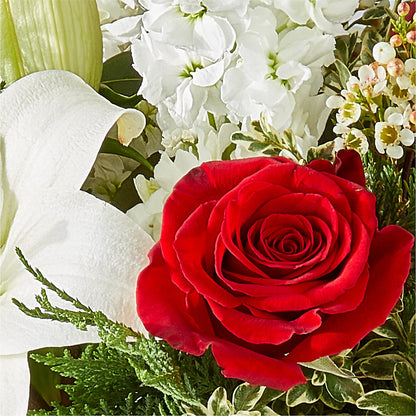 Twinkle Lights Bouquet –  Althoff Floral, Cannon Falls MN