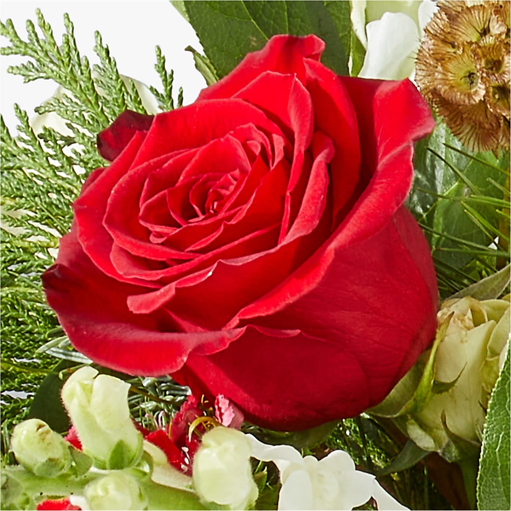 Deck the Halls Bouquet –  Althoff Floral, Cannon Falls MN