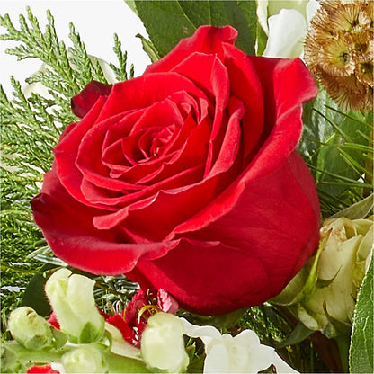 Deck the Halls Bouquet –  Althoff Floral, Cannon Falls MN