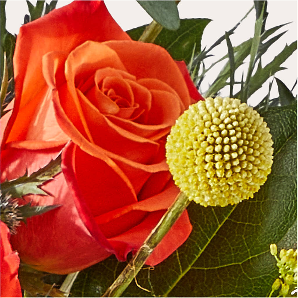Disco Bouquet –  Althoff Floral, Cannon Falls MN