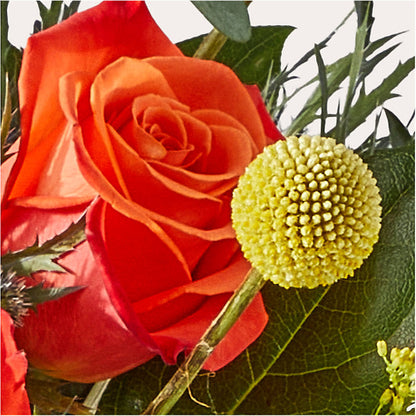 Disco Bouquet –  Althoff Floral, Cannon Falls MN